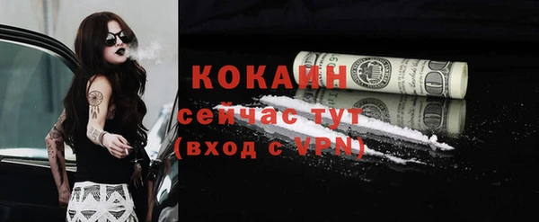 гашик Верея