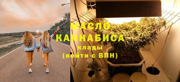 гашик Верея