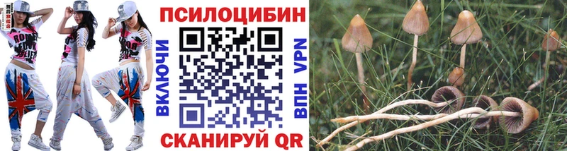 Псилоцибиновые грибы мицелий  Купить где  Карпинск 